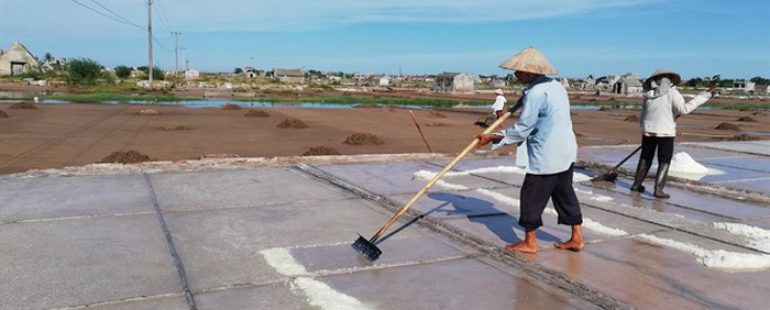 Thêm một mùa muối ‘đắng ngắt’, nghề làm muối Hải Lý có nguy cơ xóa sổ